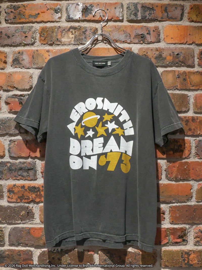GOOD ROCK SPEED / AEROSMITH / tee